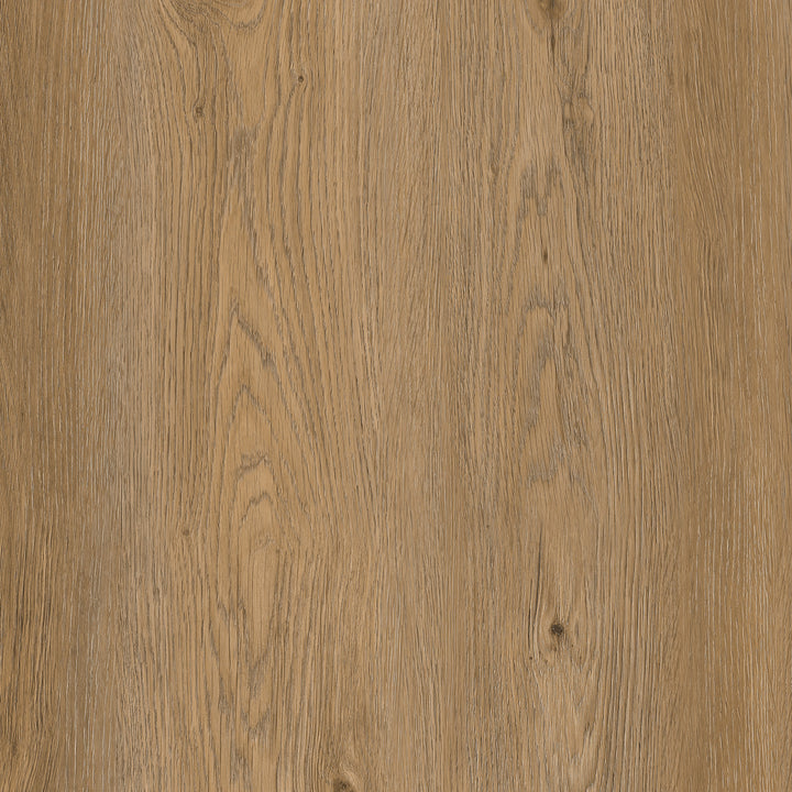 Allure Gingermisu Maple ISOCORE vinyl flooring full design view
