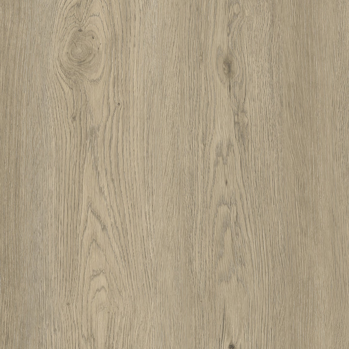 Allure Granola Beech ISOCORE vinyl flooring full design view