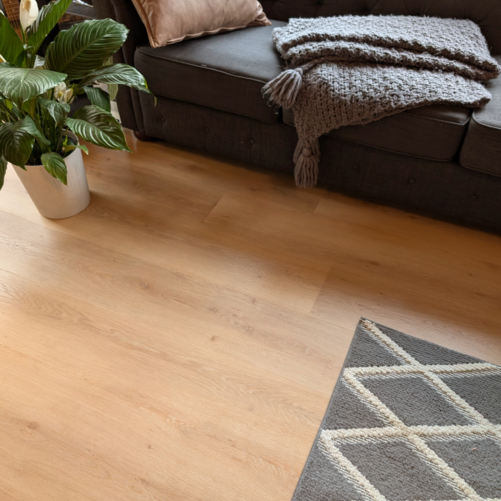 Allure Honey Butter Oak 22mil Luxury Vinyl Plank in a contemporary living room with couch and peace lily